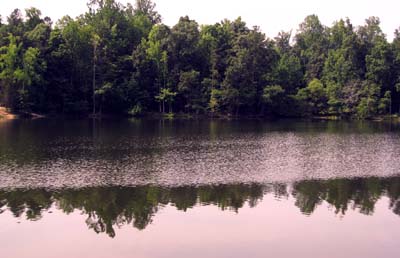 Durant Nature Park Raleigh, NC
